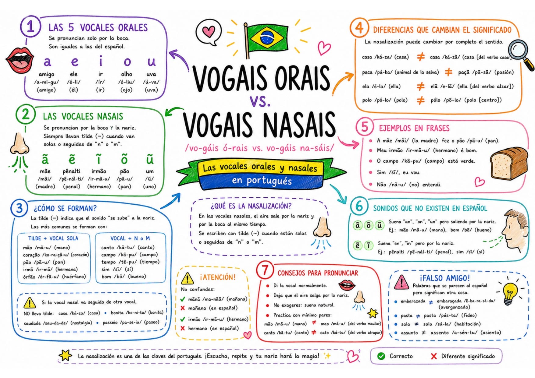 Mapa mental de portugués